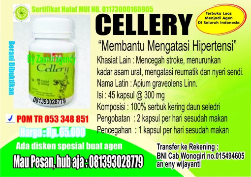 liza-herbal-cellery